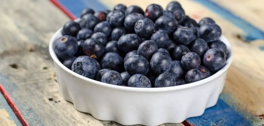 can german shepherd puppies eat blueberries