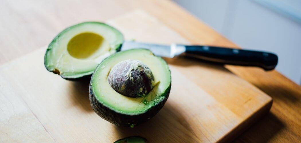 can great danes eat avocado