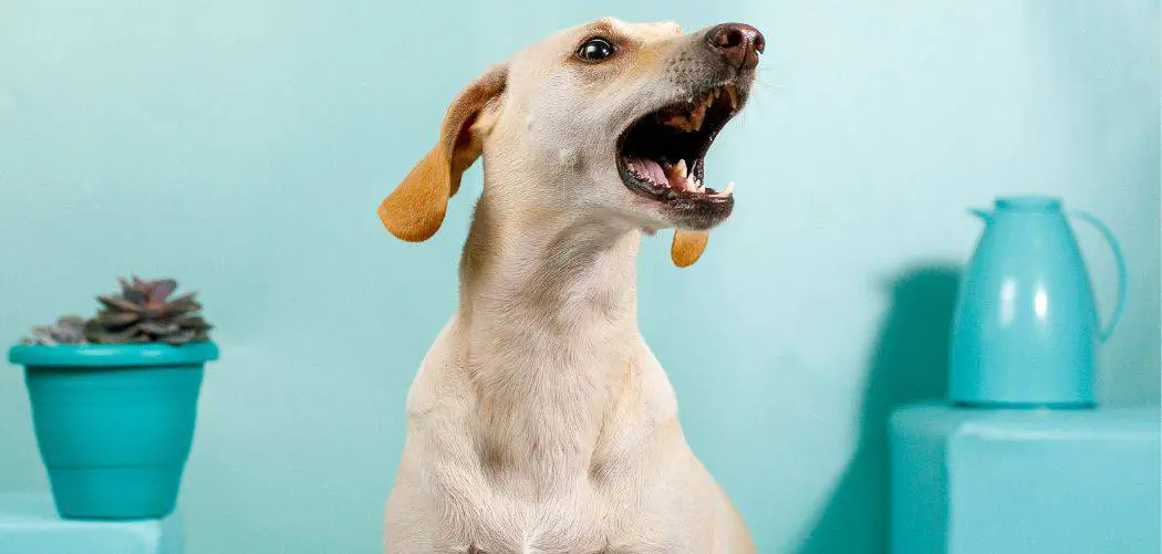 Dog barking and gagging