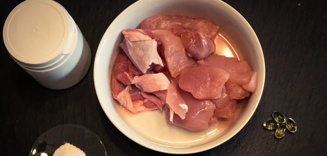 can i feed my dog raw meat from the supermarket