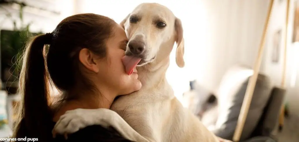 Dog Licking Me Excessively at Night