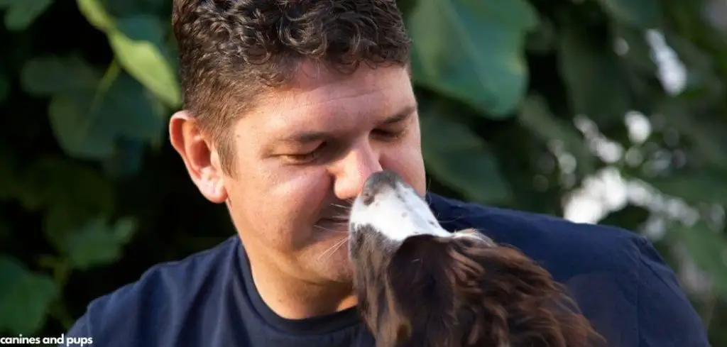 Old Dog Excessively Licking Me