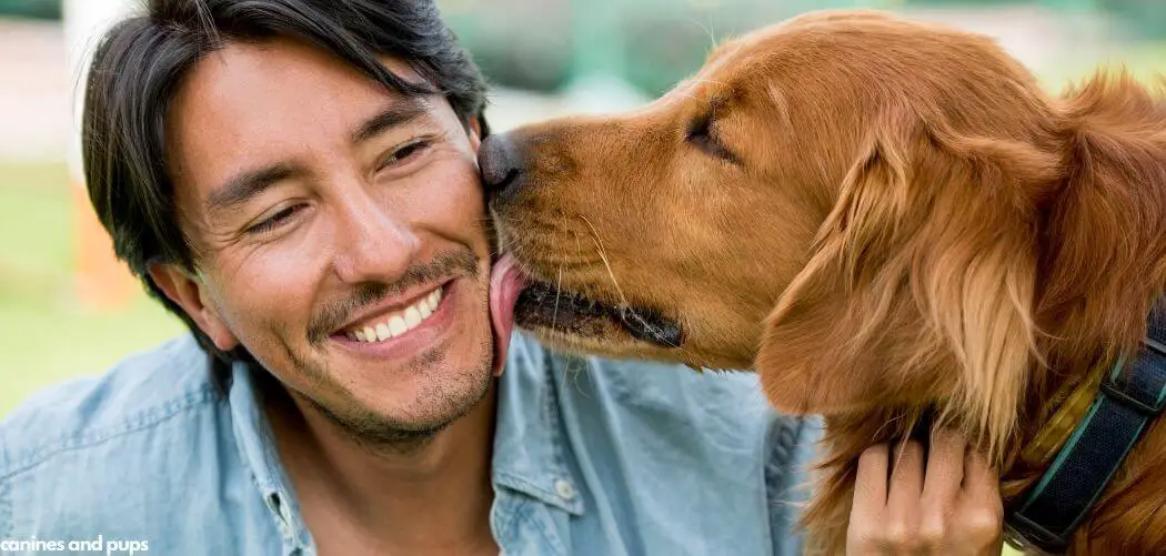 Dog Panting and Licking Me