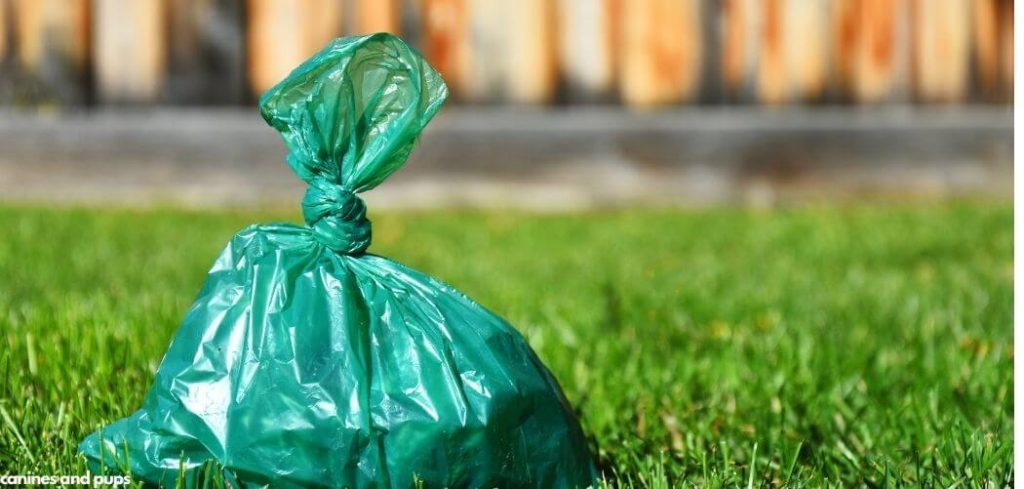 Dog Eating Poop Bags